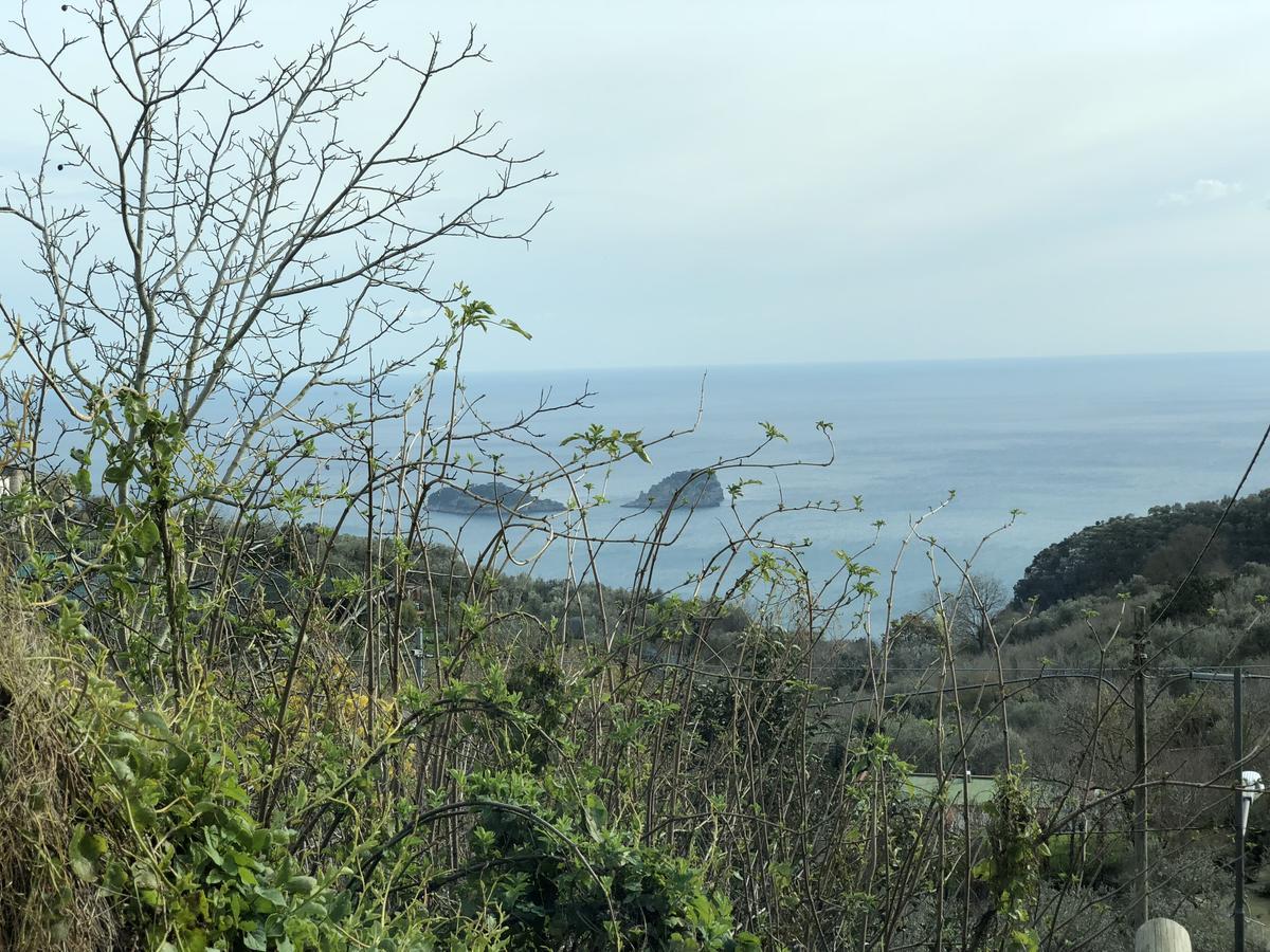 Casa Vacanze Villa San Francesco Sant'Angelo  Esterno foto